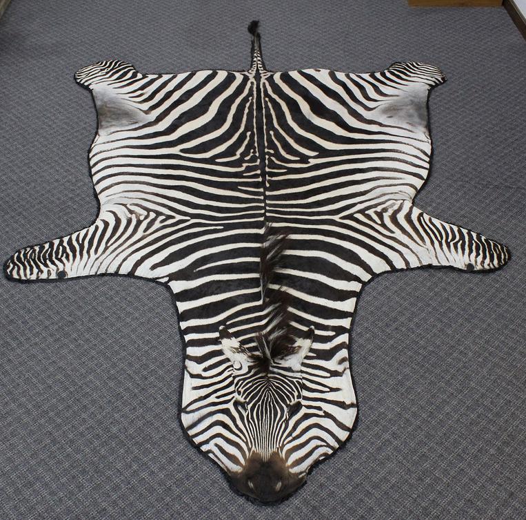 rugs-for-sale